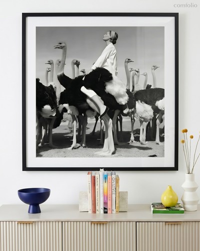 Квадратный постер Wenda &amp; Ostriches - Louvre Home