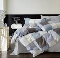 Комплект постельного белья CA-7-747 Дуэт Сатин печатный с наволочками 70х70х2шт.+ 50х70х2шт. - АльВиТек