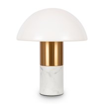 Настольный светильник Freya FR5285TL-01BS - Freya