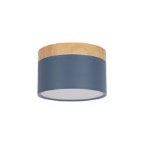 10162 Blue Накладной светильник LOFT IT Grape - Loft It