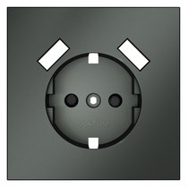 Накладка для розетки с заземлением и защитными шторками, с USB A+A, S70 титан