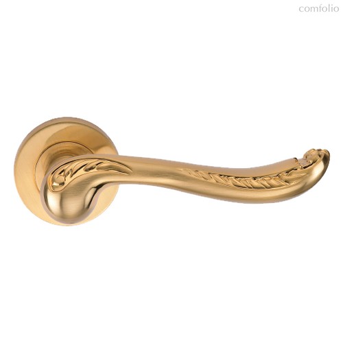Ручка ACANTO S. GOLD (20G) (на круглой розетке, матовое золото) - Archie