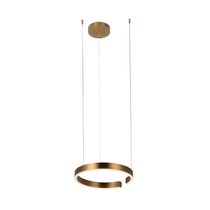 10013S Подвесной светильник LOFT IT Ring - Loft It
