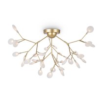Потолочный светильник Freya Florencia FR5049CL-36G - Freya