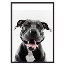 Улыбающийся пес, 40x60 см - Dom Korleone