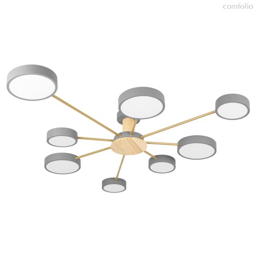 10316/8 Grey Потолочный светильник LOFT IT Sunrise - Loft It