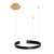 10025/400 Black Подвесной светильник LOFT IT Ring - Loft It