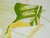 Постельное белье СайлиД сатин B-51, цвет белый/желтый/зеленый - Сайлид