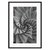 Суккулент с колючками, 50x70 см - Dom Korleone