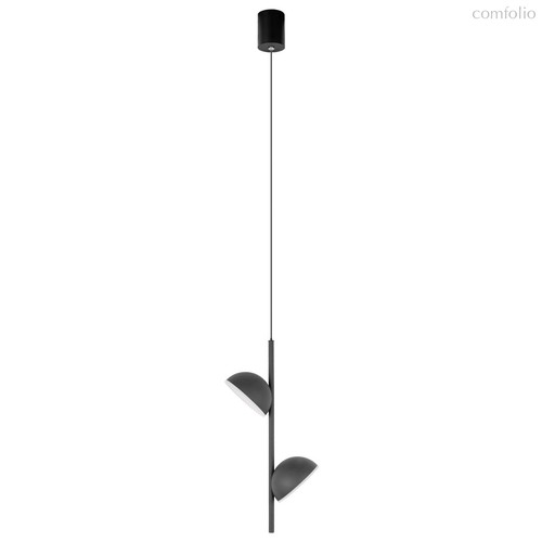 10335 Black Подвесной светильник LOFT IT Mons - Loft It