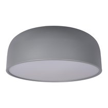 10201/480 Grey Потолочный светильник LOFT IT Axel - Loft It