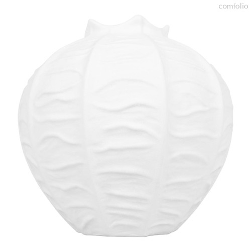 10265V/S Декоративная ваза LOFT IT Blanca - Loft It