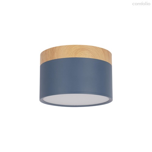 10162 Blue Накладной светильник LOFT IT Grape - Loft It