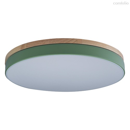 10001/36 Green Потолочный светильник LOFT IT Axel - Loft It