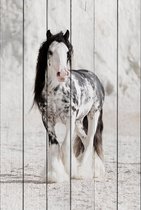 Ирландская лошадь 30х40 см, 30x40 см - Dom Korleone