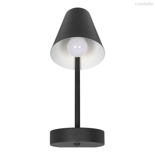 10216/1W Black Настенный светильник LOFT IT Shelf - Loft It