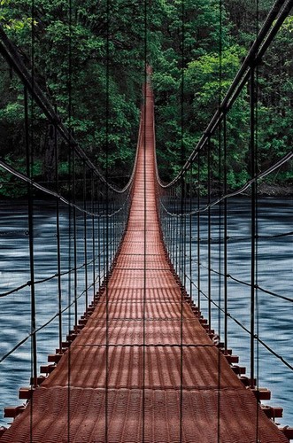 Мост в джунгли 80х120 см, 80x120 см - Dom Korleone