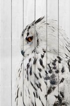 Белая сова 60х90 см, 60x90 см - Dom Korleone