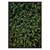 Зеленый лес с высоты, 40x60 см - Dom Korleone