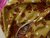 Постельное белье СайлиД поплин A-110, цвет коричневый - Сайлид