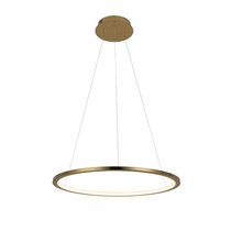 10014M Подвесной светильник LOFT IT Ring - Loft It