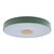 10003/24 Green Потолочный светильник LOFT IT Axel - Loft It