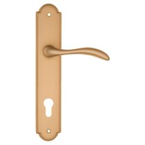 Дверная ручка на планке Fratelli Cattini LUCCIA CYL PL257-BS матовая латунь