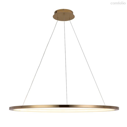 10014XL Подвесной светильник LOFT IT Ring - Loft It