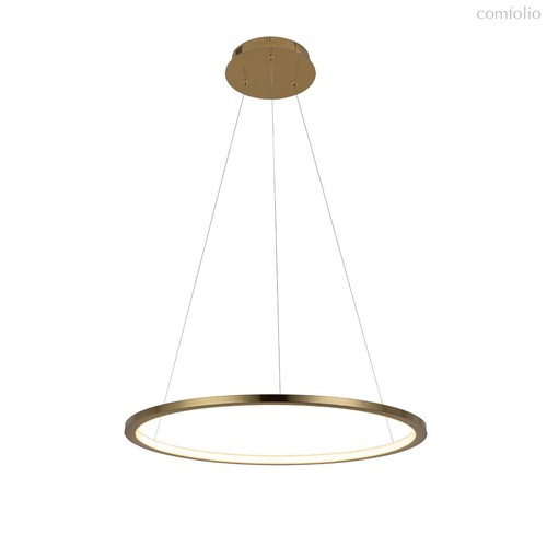 10014M Подвесной светильник LOFT IT Ring - Loft It