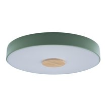 10003/24 Green Потолочный светильник LOFT IT Axel - Loft It