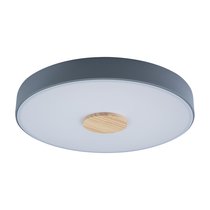 10003/24 Grey Потолочный светильник LOFT IT Axel - Loft It