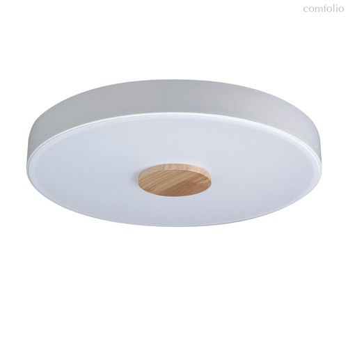 10003/24 White Потолочный светильник LOFT IT Axel - Loft It