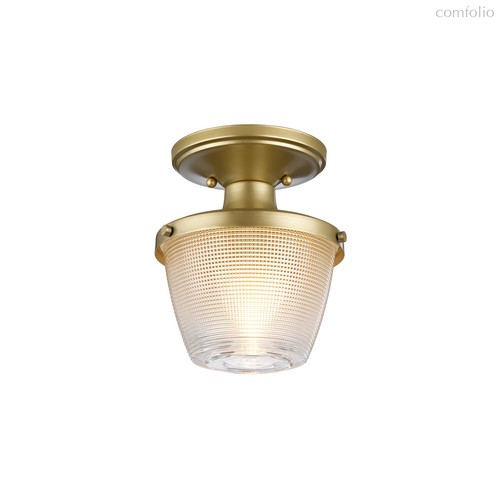 Потолочный светильник для ванных комнат Quoizel QZ-DUBLIN-SF-PNBR - Quoizel