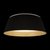 10224 Black Потолочный светильник LOFT IT Evans - Loft It