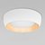 10255/500 White Потолочный светильник LOFT IT Folk - Loft It