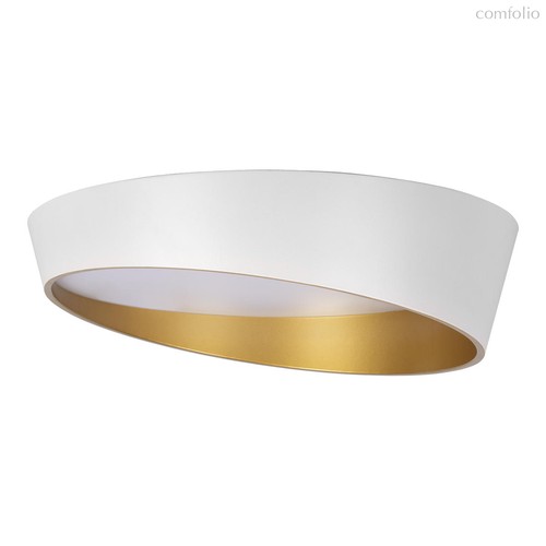 10199 White Потолочный светильник LOFT IT Coin - Loft It