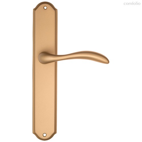 Дверная ручка на планке Fratelli Cattini LUCCIA PL02-BS матовая латунь - Fratelli Cattini