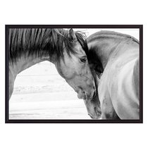 Две лошади, 30x40 см - Dom Korleone