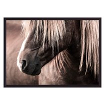 Скандинавская лошадь, 50x70 см - Dom Korleone