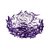 10593/780C Purple Потолочный светильник LOFT IT Clizia - Loft It