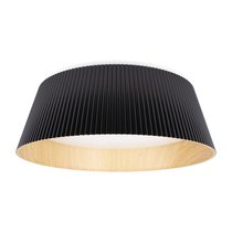 10224 Black Потолочный светильник LOFT IT Evans - Loft It