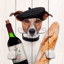 Собака с вином 120х120 см, 120x120 см - Dom Korleone