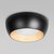 10255/350 Black Потолочный светильник LOFT IT Folk - Loft It