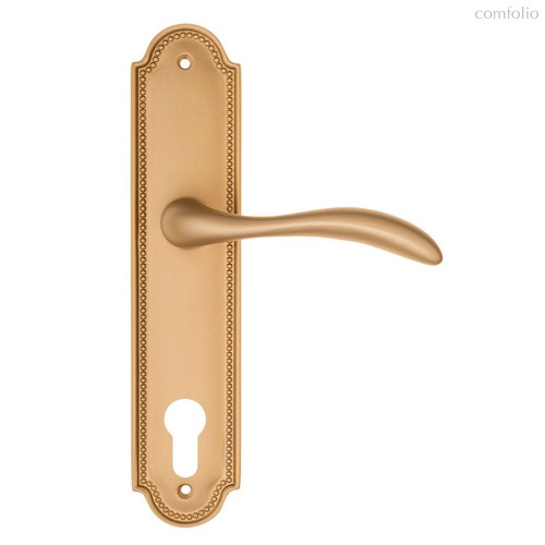 Дверная ручка на планке Fratelli Cattini LUCCIA CYL PL248-BS матовая латунь - Fratelli Cattini