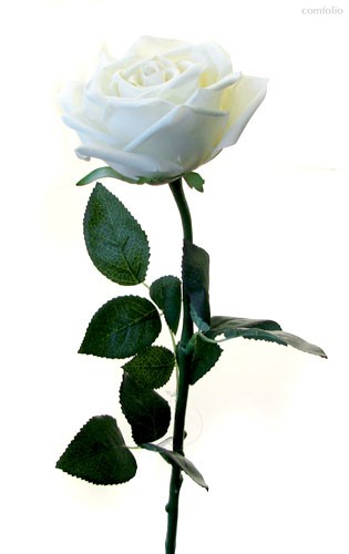 Роза Гран При белая 65 см живое прикосновение (24 шт.в упак.) - Top Art Studio