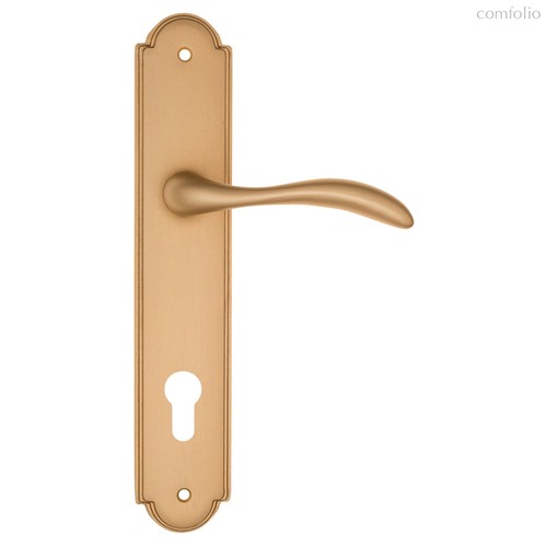 Дверная ручка на планке Fratelli Cattini LUCCIA CYL PL257-BS матовая латунь - Fratelli Cattini