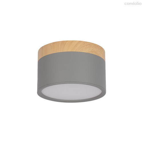 10162 Grey Накладной светильник LOFT IT Grape - Loft It
