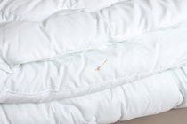 Одеяло Уценка ОМФ-15 "Адажио-Эко" SWAN )140х205 классическое-всесезонное - АльВиТек