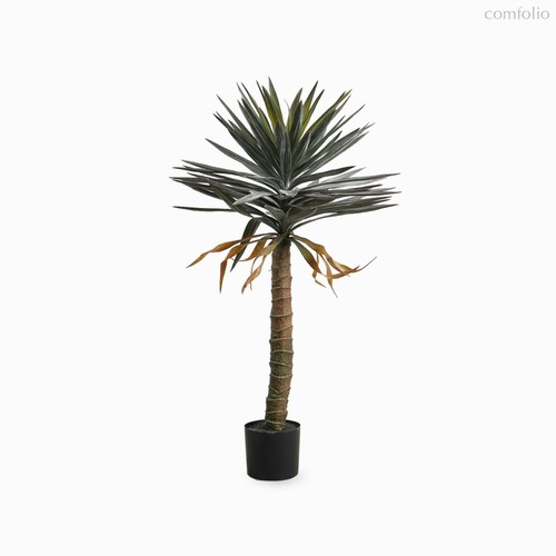 Драцена высота 118, цвет зеленый - Cosmo