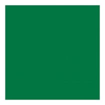 Салфетка бумажная зеленая, 40*40 см, материал Airlaid, 50 шт, Garcia de PouИспания - Garcia De Pou